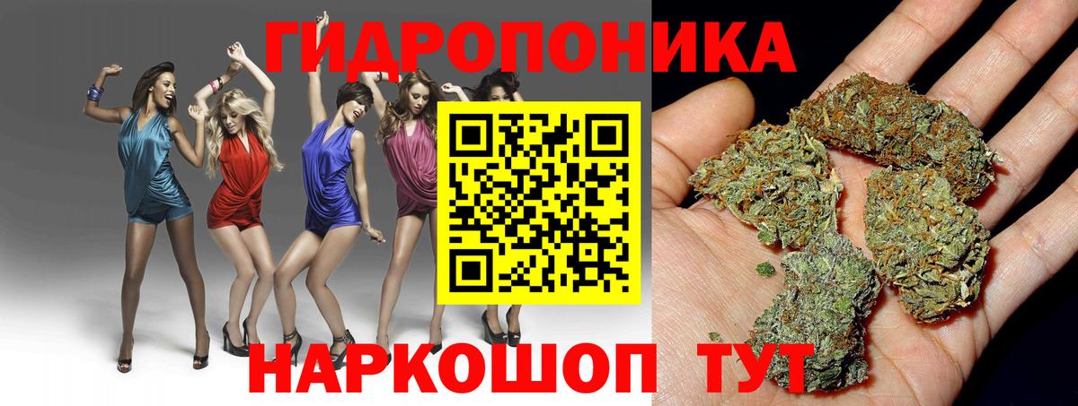 Каннабис THC 21%  Вход с VPN  МАРИХУАНА гибрид  Заводоуковск 